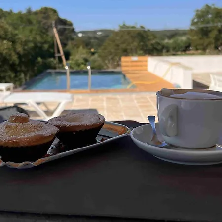 Holiday home Trullo Tre Piantelle